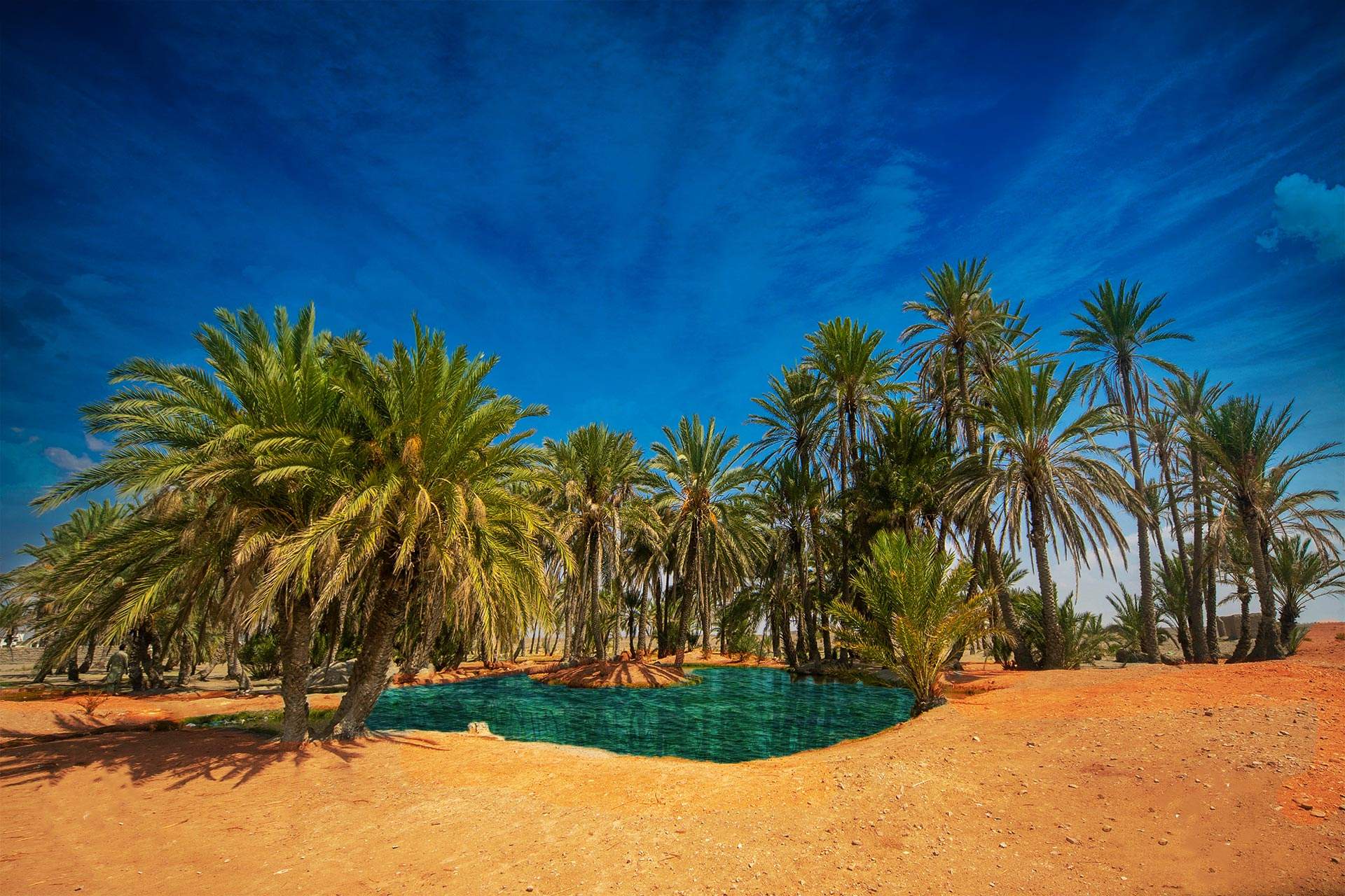 oasis